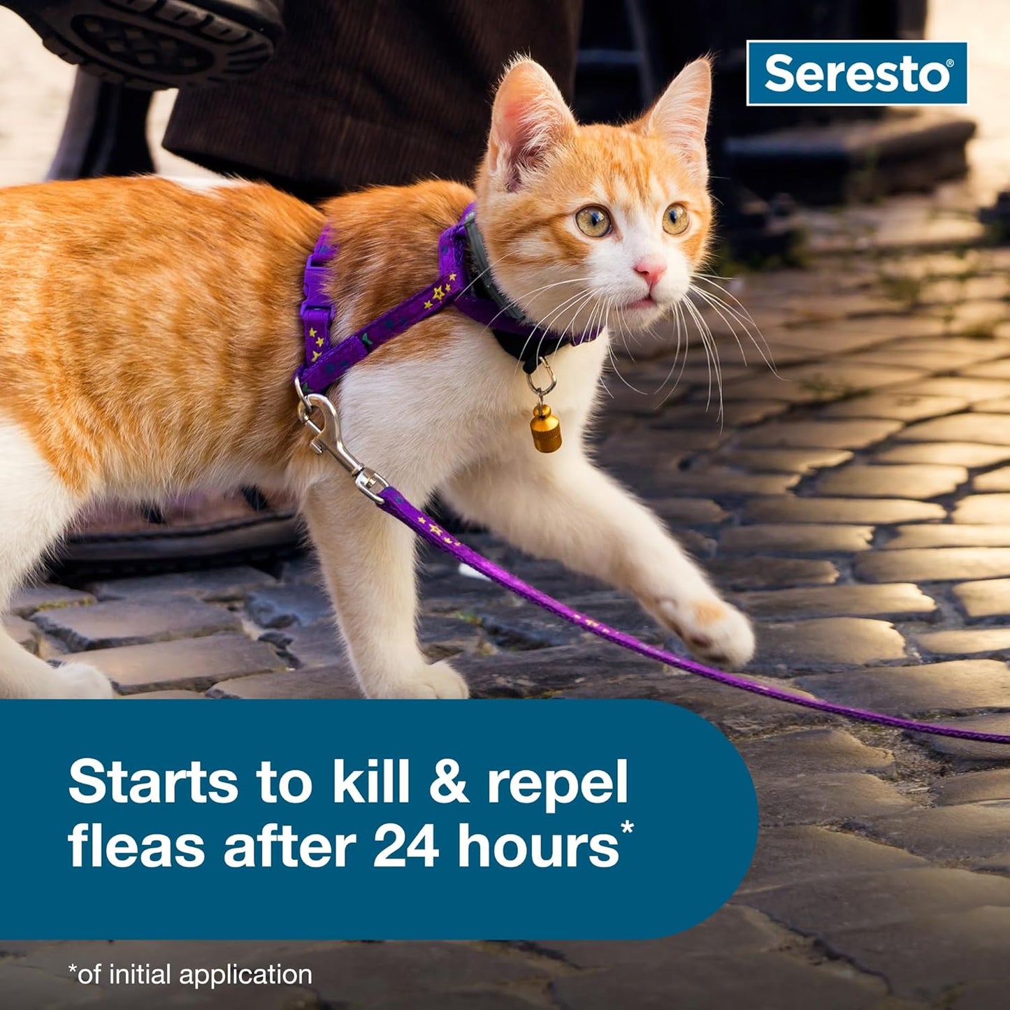 Seresto - Flea & Tick Preventative Collar for Cat ( 30% Off )