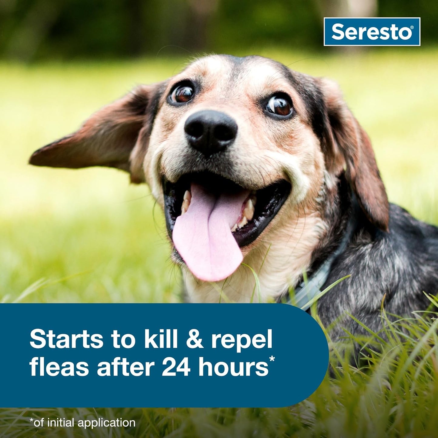 Seresto - Flea & Tick Preventative Collar for Small Dogs ( 30% Off )