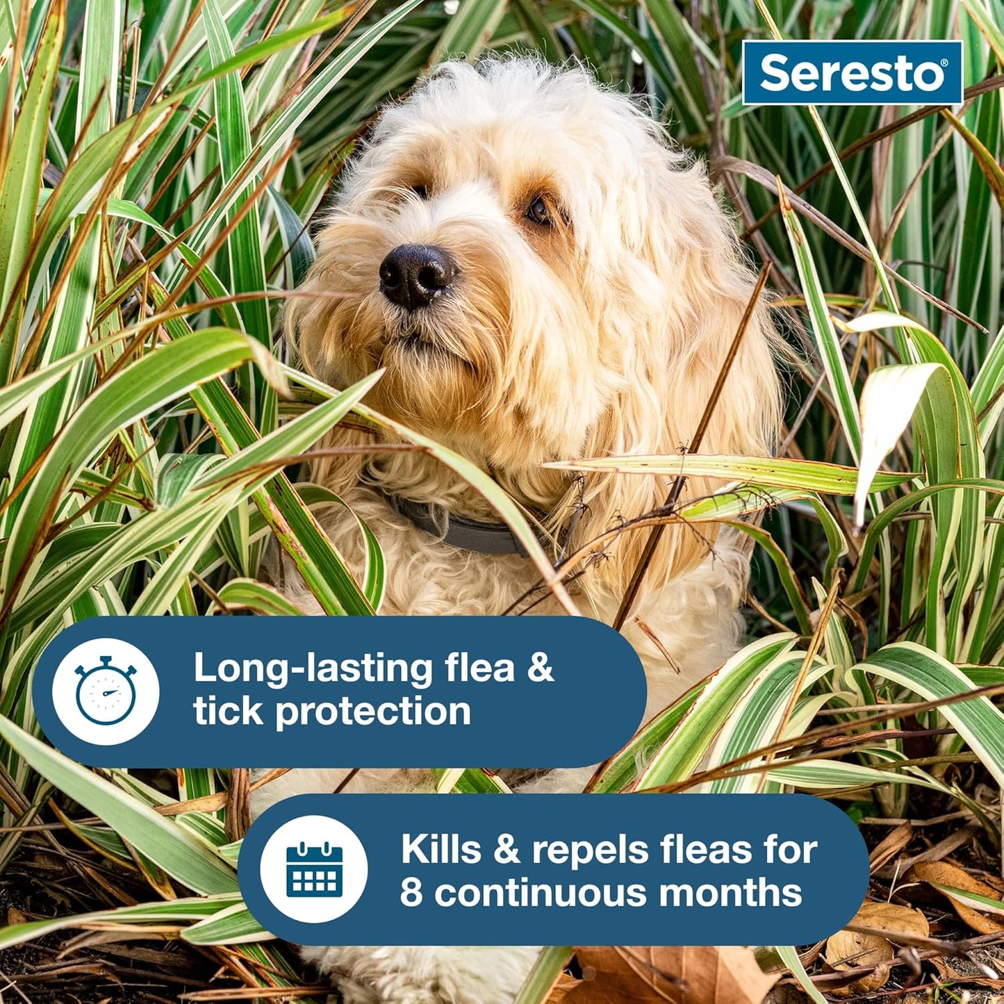 Seresto - Flea & Tick Preventative Collar for Small Dogs ( 30% Off )